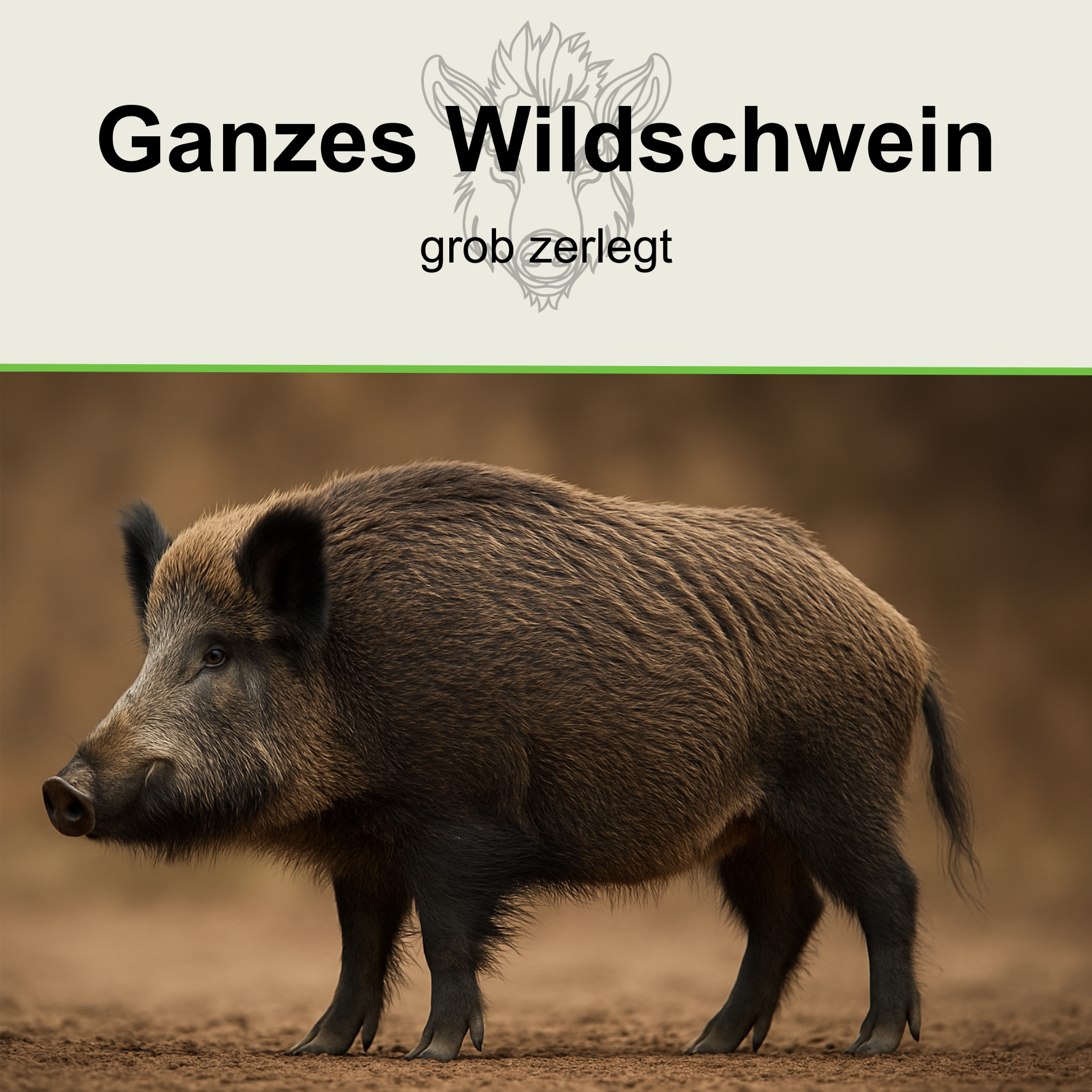 Ganzes Wildschwein (grob zerlegt)