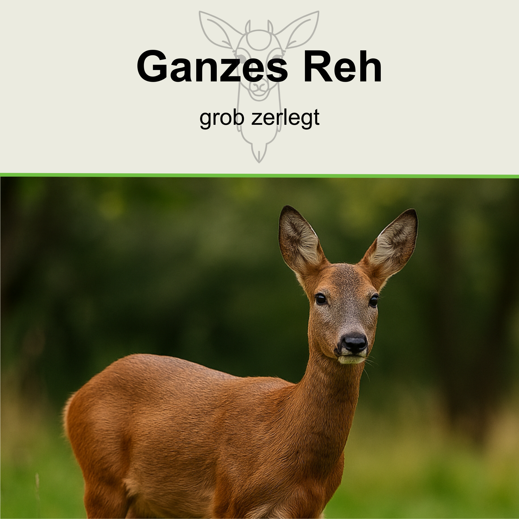 Ganzes Reh (grob zerlegt)